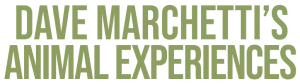 animal experiences logo